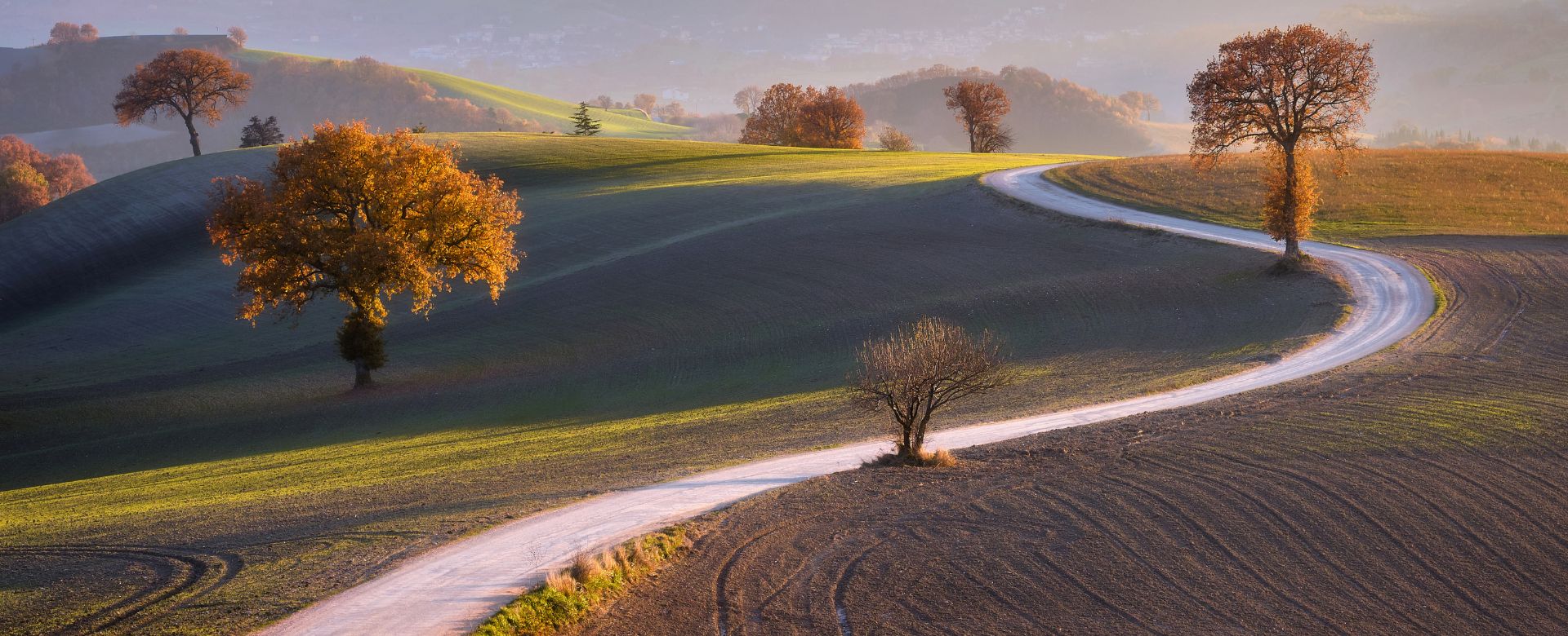 La cosiddetta Collina dei ciliegi a San Severino Marche (Macerata). ©Luigi Alesi