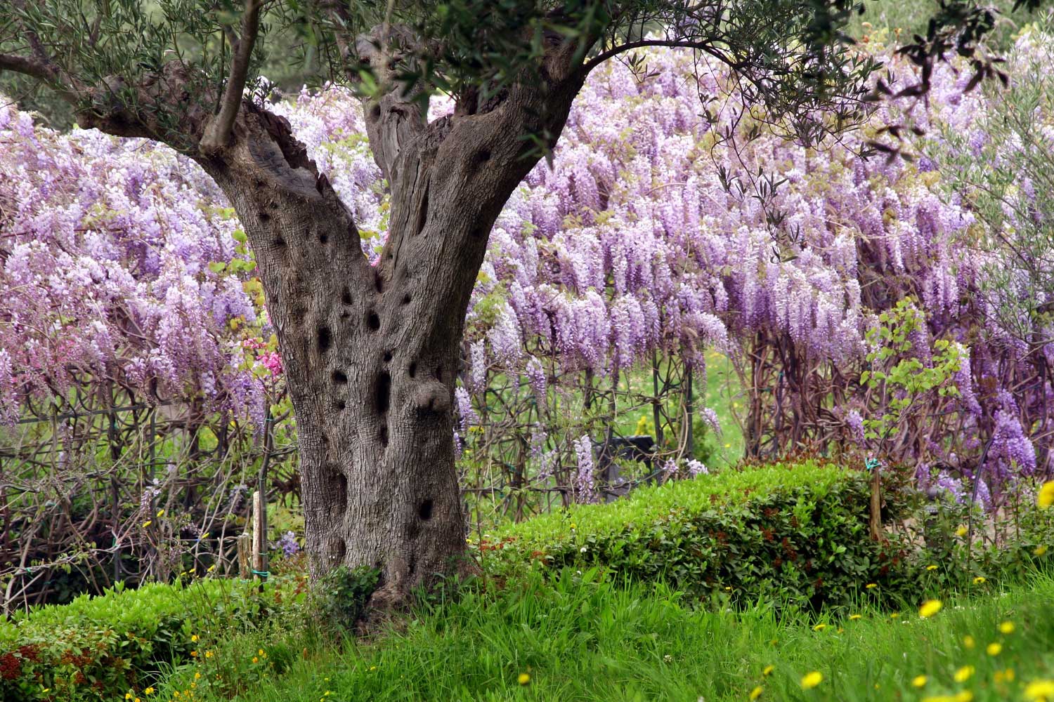 Parco della Biodiverstià