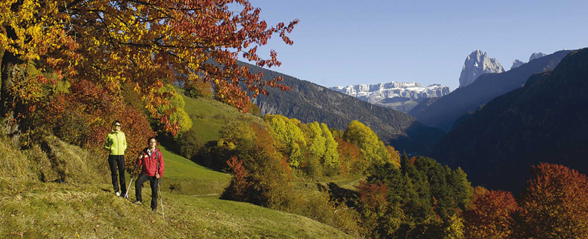 Immagine del foliage a Laion (BZ)