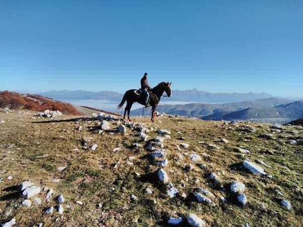 Uomo su un cavallo