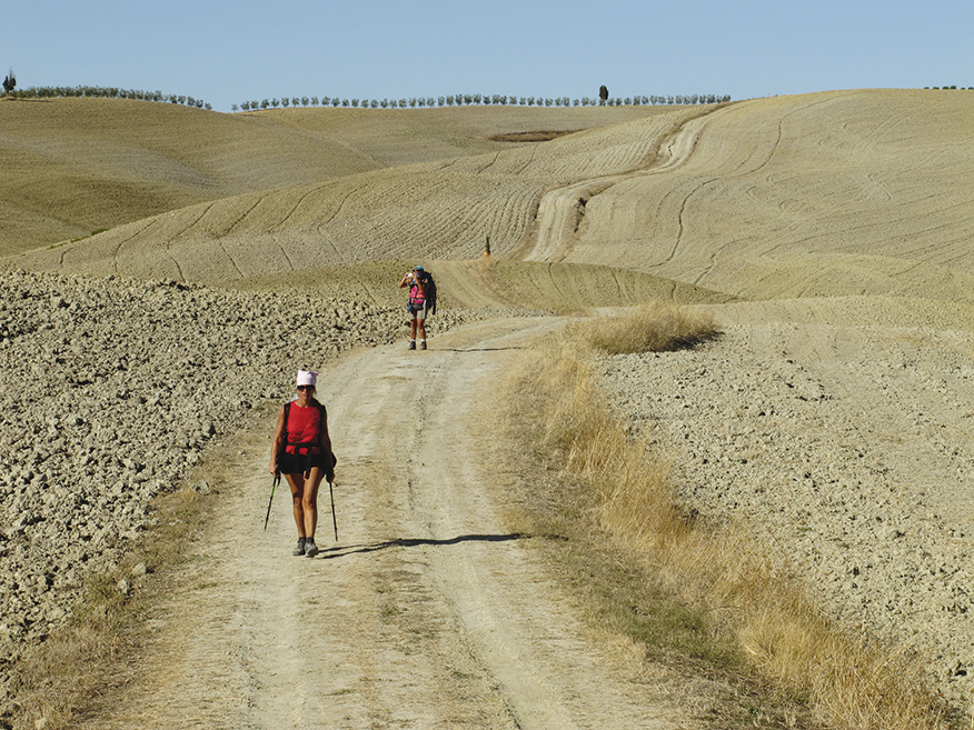 Persone in cammino con bastoni da trekking