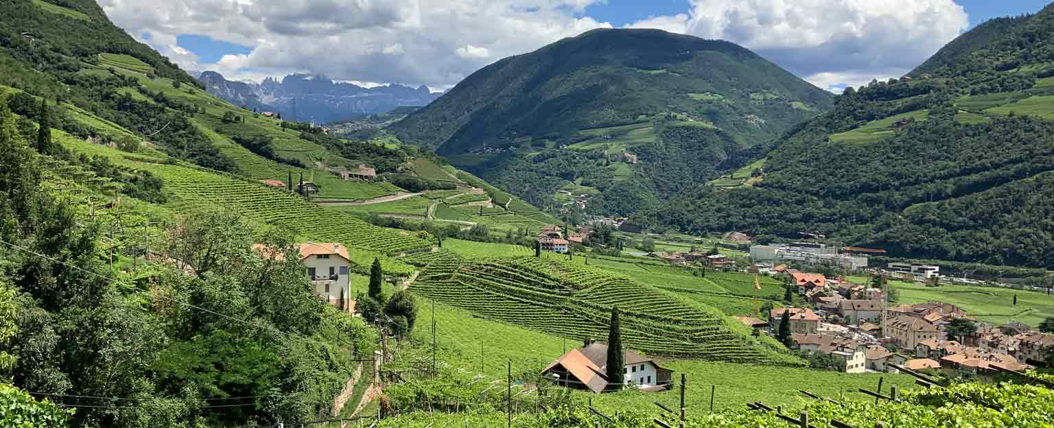 Un itinerario enologico tra le cantine dell'annata 2020